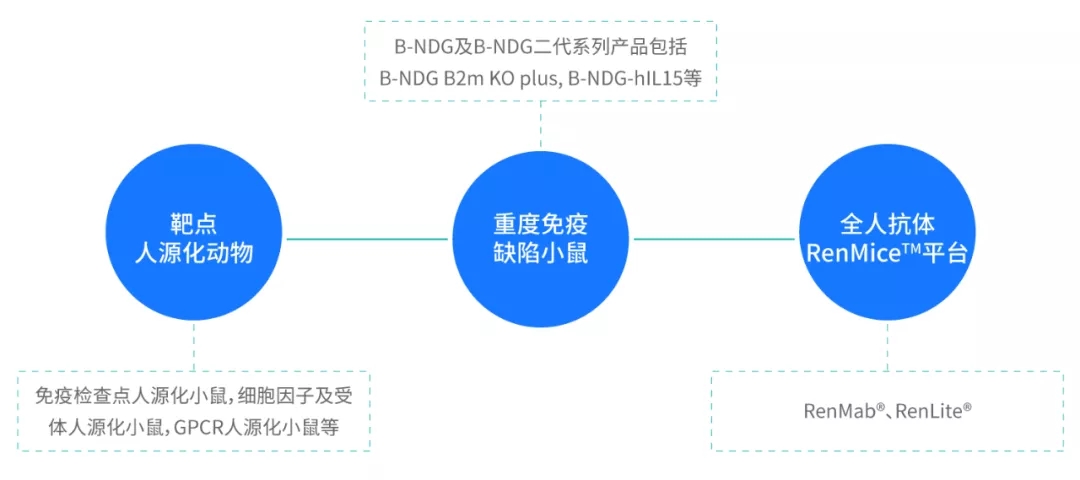 優質動物模型